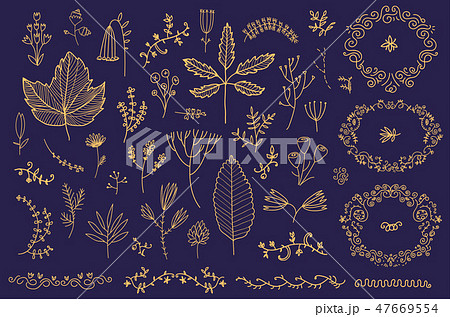 Vector set of hand drawn floral frames, dividers, flowers, leaves. Doodle hand drawn style Vector set of hand drawn floral frames, dividers, flowers, leaves. Doodle hand drawn style 47669554