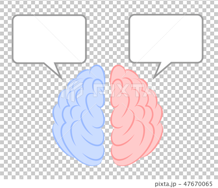 Brains right brain and left brain and speech balloon 47670065