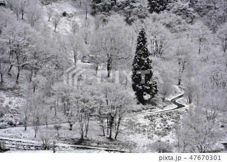 小川村 雪景色 小川村 雪景色 47670301
