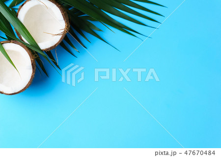 summer tropical background, vacation concept 47670484