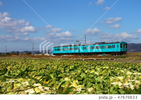 キャベツ畑と和歌山線105系 47670633
