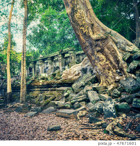 Beng Mealea or Bung Mealea temple. Cambodia 47671601