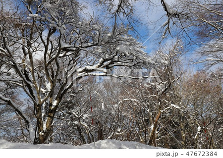 大山の雪景色 大山の雪景色 47672384
