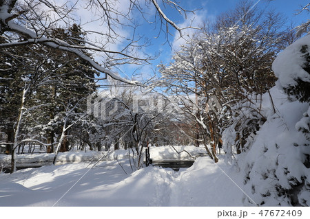 大山の雪景色 47672409