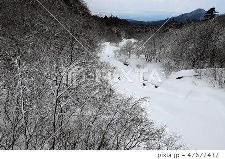 大山の雪景色 47672432