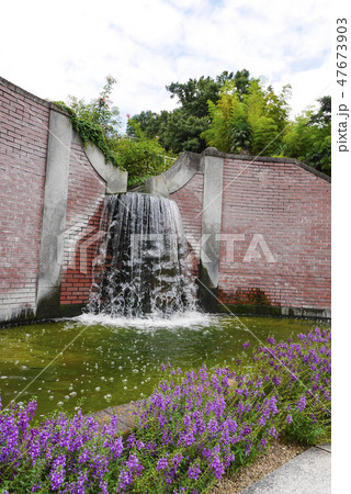 岡山 岡山 47673903