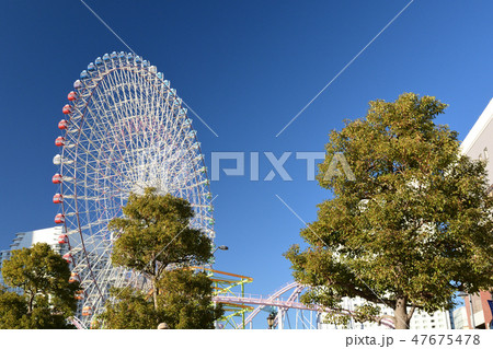 横浜 横浜 47675478