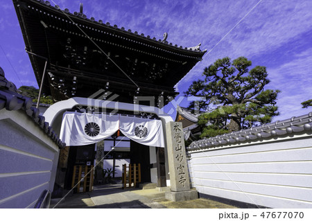 尾道 古寺めぐり 妙宣寺 山門 竜宮門 尾道 古寺めぐり 妙宣寺 山門 竜宮門 47677070