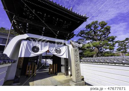 尾道 古寺めぐり 妙宣寺 山門 竜宮門 尾道 古寺めぐり 妙宣寺 山門 竜宮門 47677071