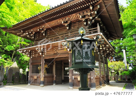 高尾山薬王境内側院四天王門と新緑 高尾山薬王境内側院四天王門と新緑 47677777