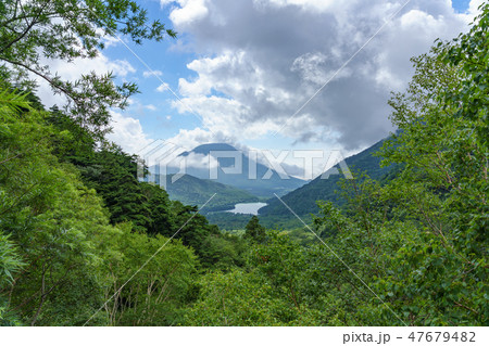 栃木県日光市 湯元 湯ノ湖 男体山 (8月) 栃木県日光市 湯元 湯ノ湖 男体山 (8月) 47679482