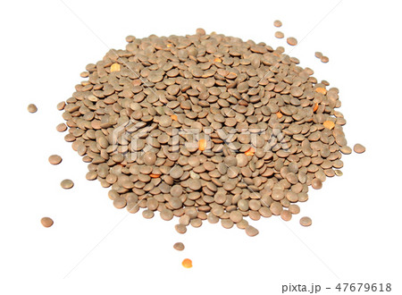 レンズ豆豆 豆 穀類 47679618