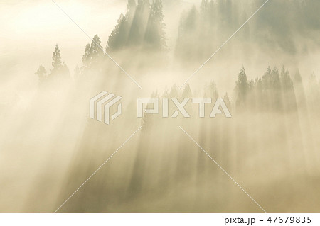 朝霧の里山 光芒 朝陽 朝霧の里山 光芒 朝陽 47679835