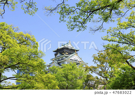 大阪城・大阪城公園・初夏・新緑 大阪城・大阪城公園・初夏・新緑 47683022