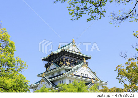 大阪城・大阪城公園・初夏・新緑 47683023