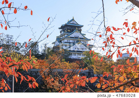大阪城・大阪城公園・秋・紅葉 47683028