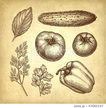 Vegetables set on old paper background. 47684247