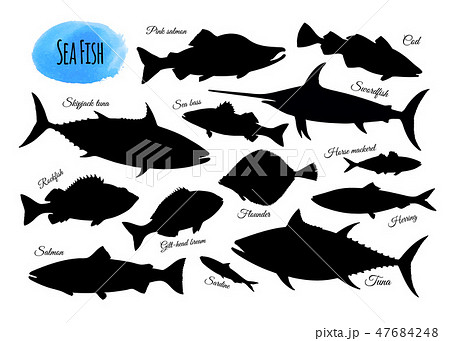 Big set of fish silhouettes. Big set of fish silhouettes. 47684248