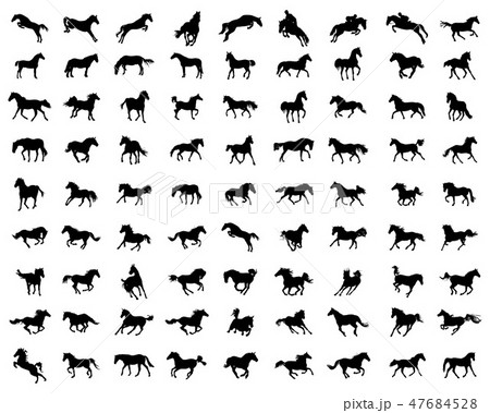 Big set of horses silhouettes Big set of horses silhouettes 47684528