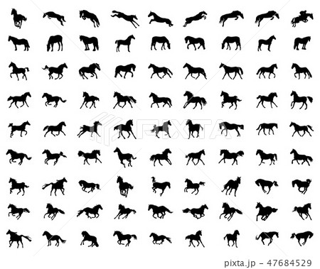Big set of horses silhouettes Big set of horses silhouettes 47684529