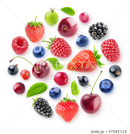 Isolated berries in a circle 47685119