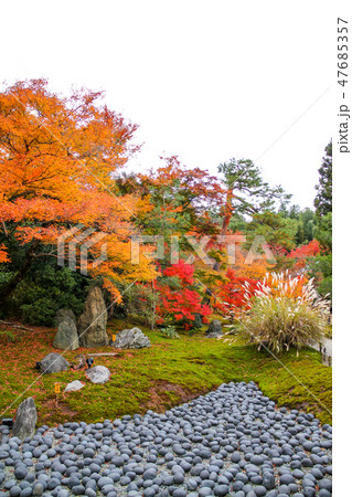 天龍寺塔頭・宝厳院、獅子吼の庭、三尊石・苦海・獣石に紅葉 47685357