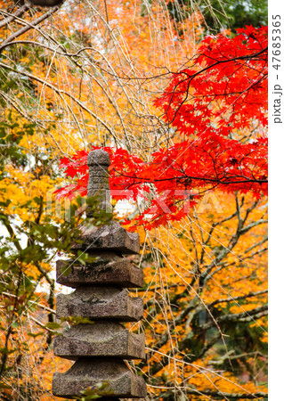 天龍寺塔頭・宝厳院、獅子吼の庭の紅葉、仏塔 天龍寺塔頭・宝厳院、獅子吼の庭の紅葉、仏塔 47685365