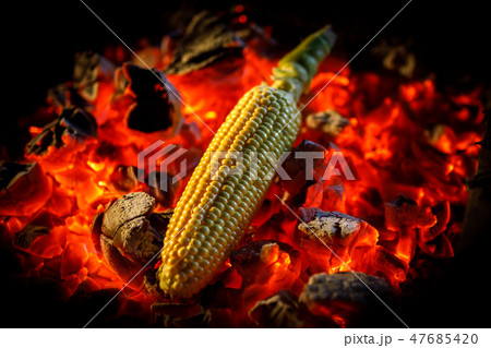 Ripe corn cob is fried on red hot coals, close-up 47685420