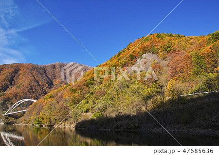 紅葉のみずがき湖 紅葉のみずがき湖 47685636