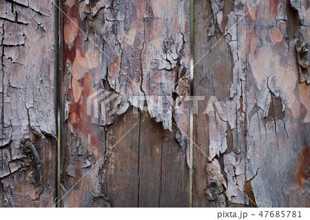 Background of wooden boards with a bough Background of wooden boards with a bough 47685781