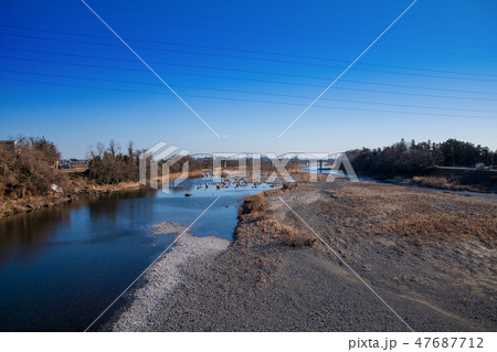 しげただばし下流鶯の瀬方面 荒川 深谷市 しげただばし下流鶯の瀬方面 荒川 深谷市 47687712