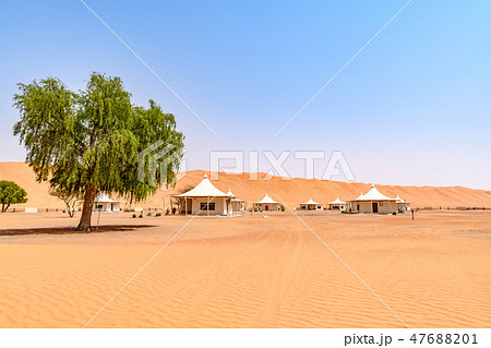 ワヒバ砂漠(オマーン、ワヒバ・サンズ) 47688201
