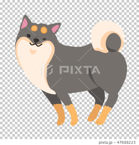 Shiba Inu狗Kuroshiba姿勢面部風景 Shiba Inu狗Kuroshiba姿勢面部風景 47688223