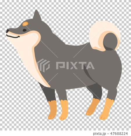 Shiba Inu狗Kuroshiba姿勢面部風景 Shiba Inu狗Kuroshiba姿勢面部風景 47688224
