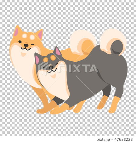 Shiba Inu dog Akaiba Kuroba pose facial sideways 47688228