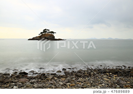 ソルソム 章露出 島 47689889