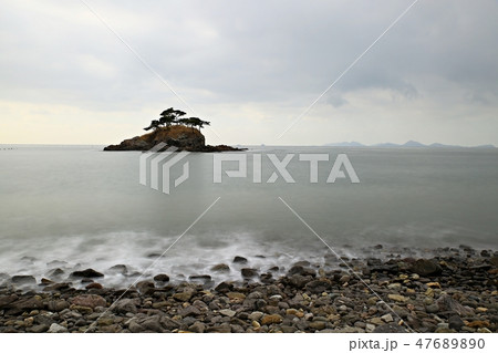 ソルソム 章露出 島 47689890