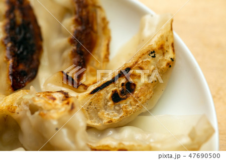焼き餃子 47690500