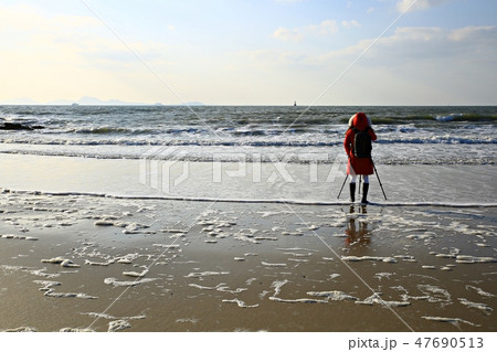 海 砂浜 海水浴場 47690513