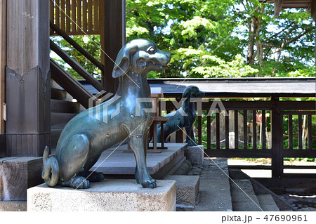 武蔵御嶽神社本殿の狼の狛犬 47690961