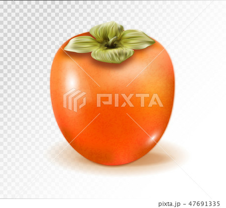 Persimmon fruit isolated on transparent background. Realistic quality vector. 3d illustration Persimmon fruit isolated on transparent background. Realistic quality vector. 3d illustration 47691335