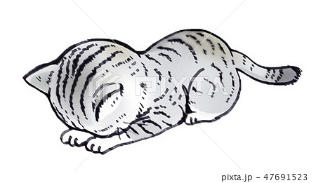 謝りねこ 謝りねこ 47691523