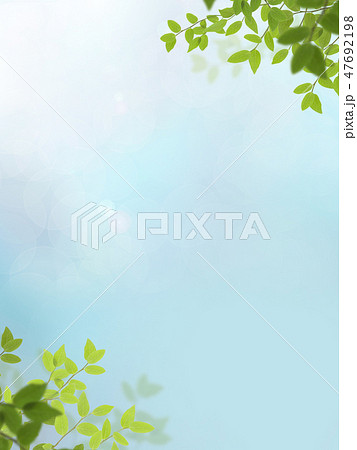 背景-新緑-ブルー 背景-新緑-ブルー 47692198