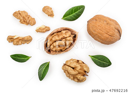 Walnuts with leaf isolated on white background. Top view. Flat lay Walnuts with leaf isolated on white background. Top view. Flat lay 47692216