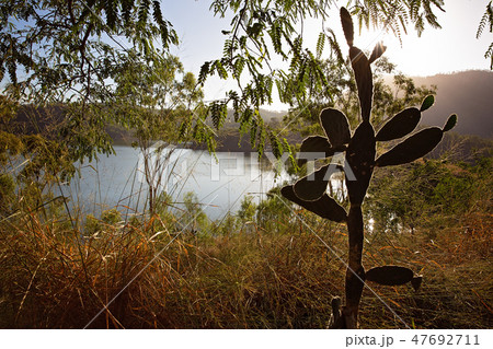 Dawn at Cania Dam Australia 47692711