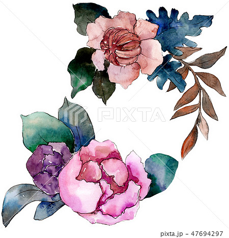 Peony and succulent bouquet floral flower. Watercolor background set. Isolated bouquet illustration Peony and succulent bouquet floral flower. Watercolor background set. Isolated bouquet illustration 47694297