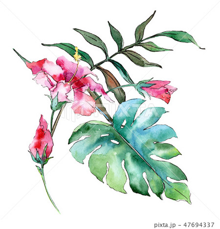 Pink exotic tropical hawaiian flowers. Watercolor background set. Isolated flower illustration 47694337