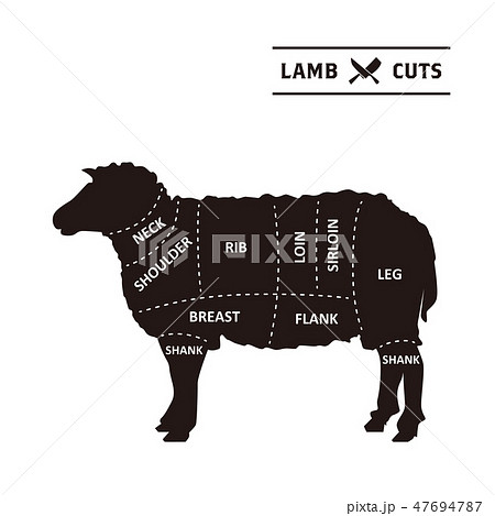 ラム肉部位ポスター02のイラスト素材
