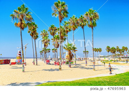 Famous Los Angeles Beach - Venice Beach . 47695963