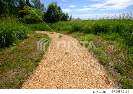 遊歩道 フェルムラ・テール美瑛 遊歩道 フェルムラ・テール美瑛 47697115